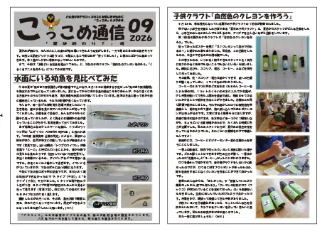 kokkome2609_1