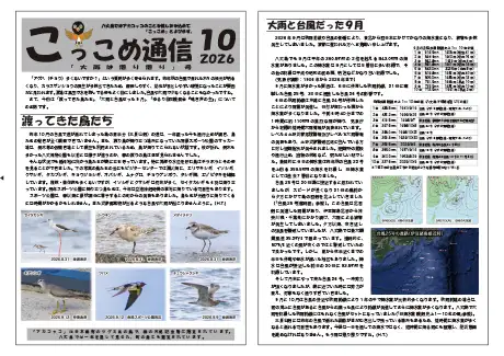 kokkome2610_1