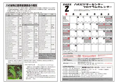kokkome2202_2_02