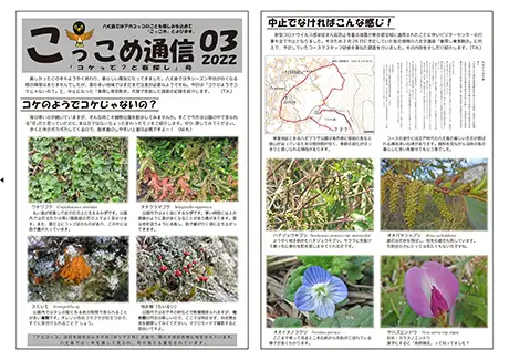 kokkome2203_1_01