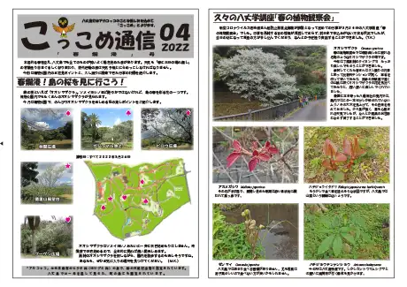 kokkome2204_01