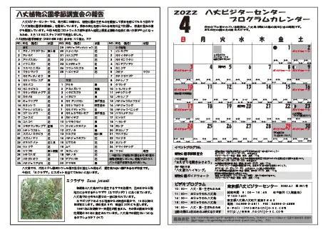 kokkome2204_2_02