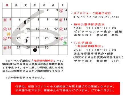 ６月の行事_01