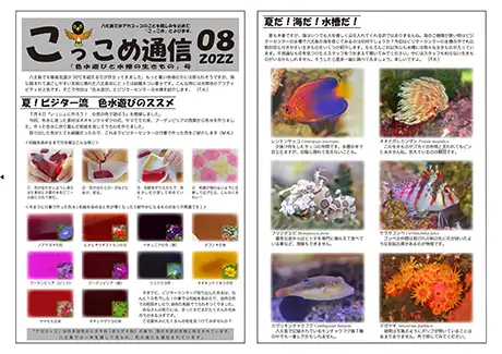 kokkome2208_1_01