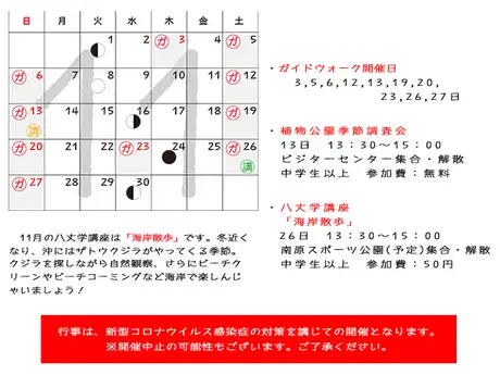 １１月の行事_01