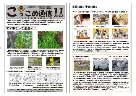 kokkome2211_1_01