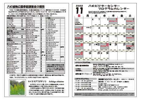 kokkome2211_2_02