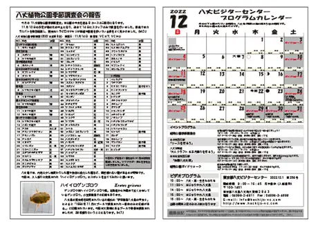 kokkome2212_2_02