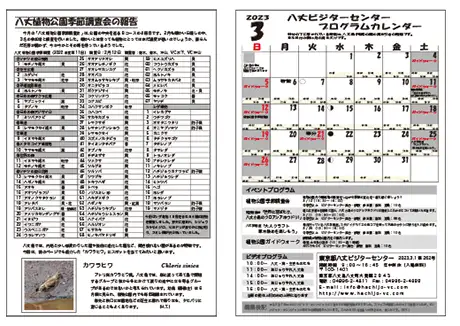 kokkome2303_2-_02