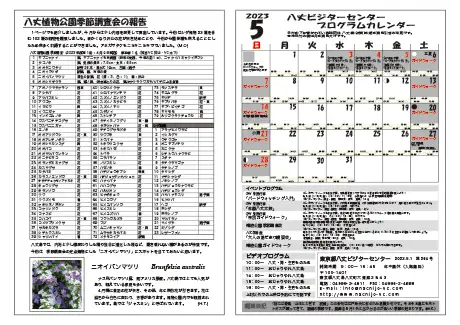 kokkome2305_2_02