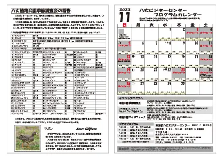 kokkome2311_2_02