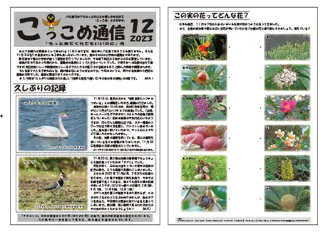 kokkome2312_1_01