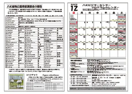 kokkome2312_2_02