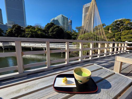 浜離宮中島のお茶屋 お抹茶