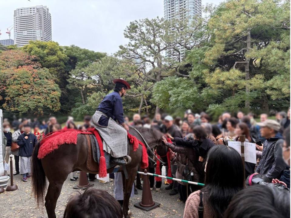 西洋馬術