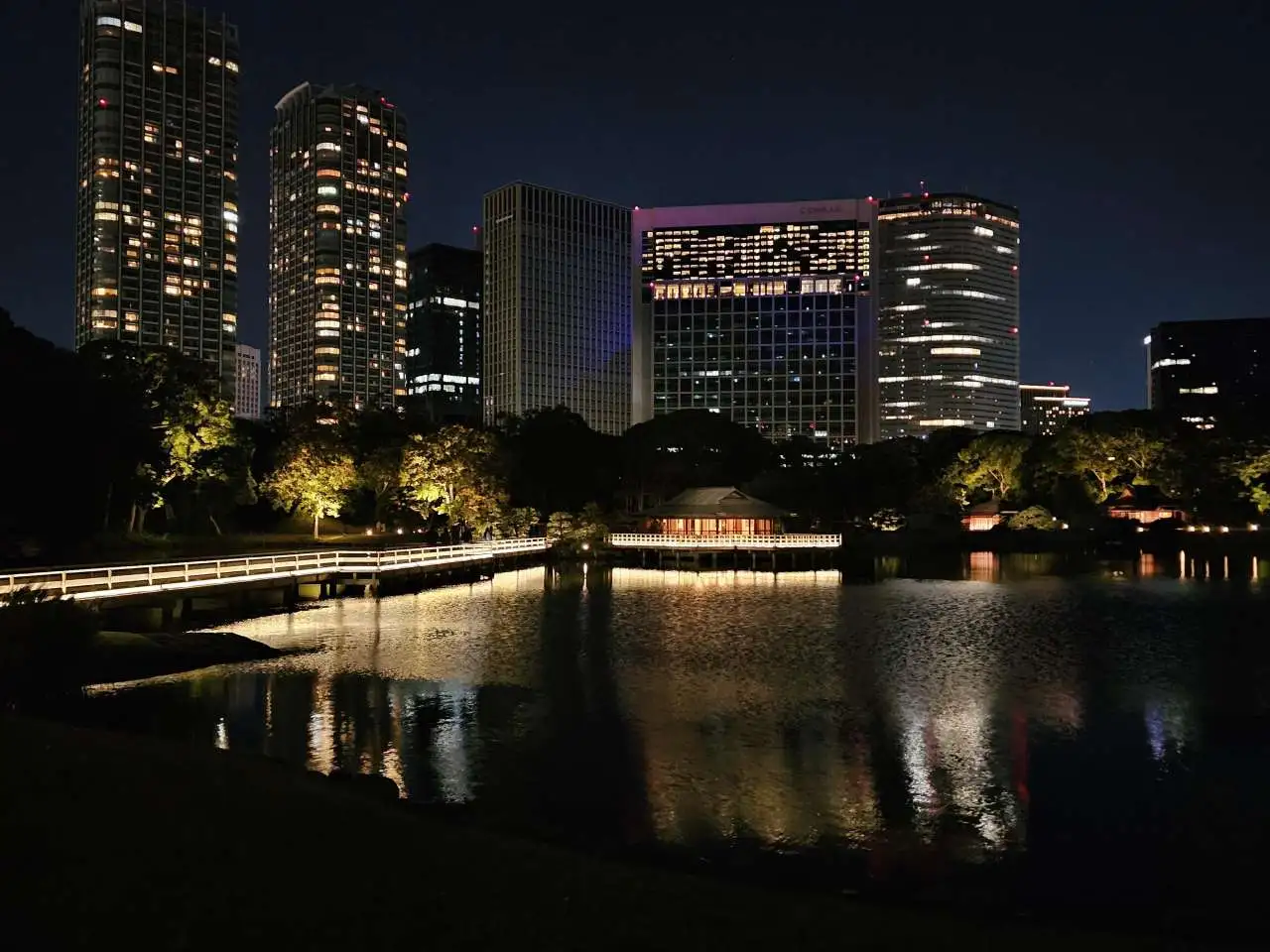 潮入の池_夜景①