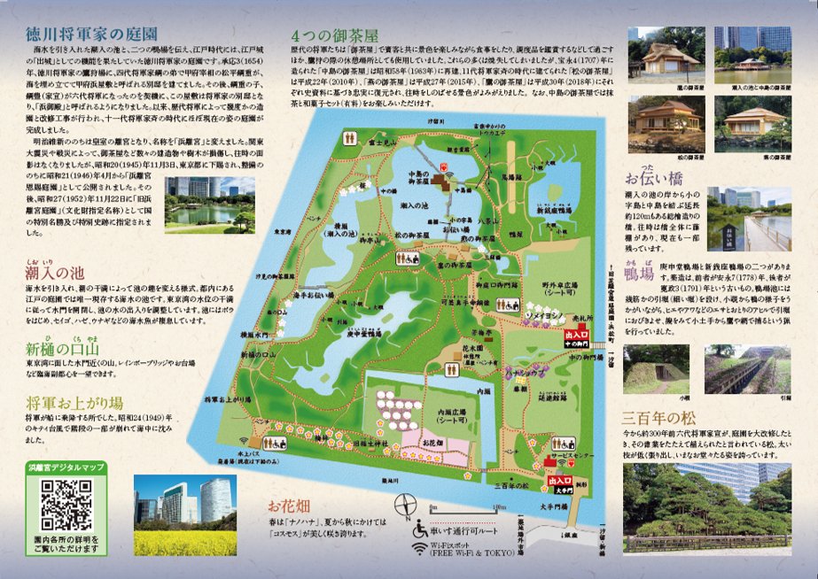 hama_map