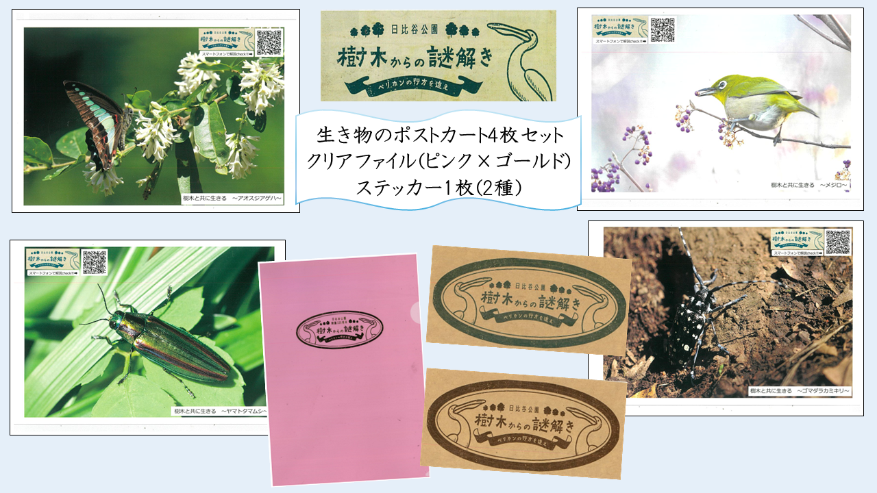 樹木からの謎解き景品