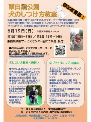 犬のしつけ方教室チラシ_01