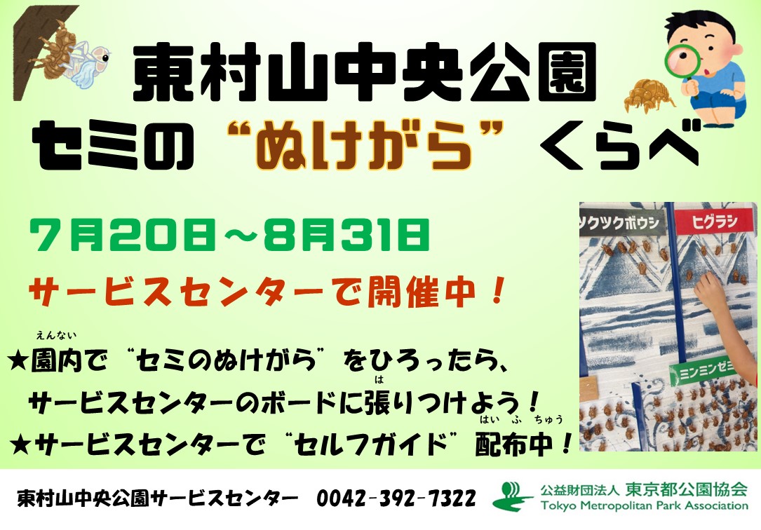 ポスター用