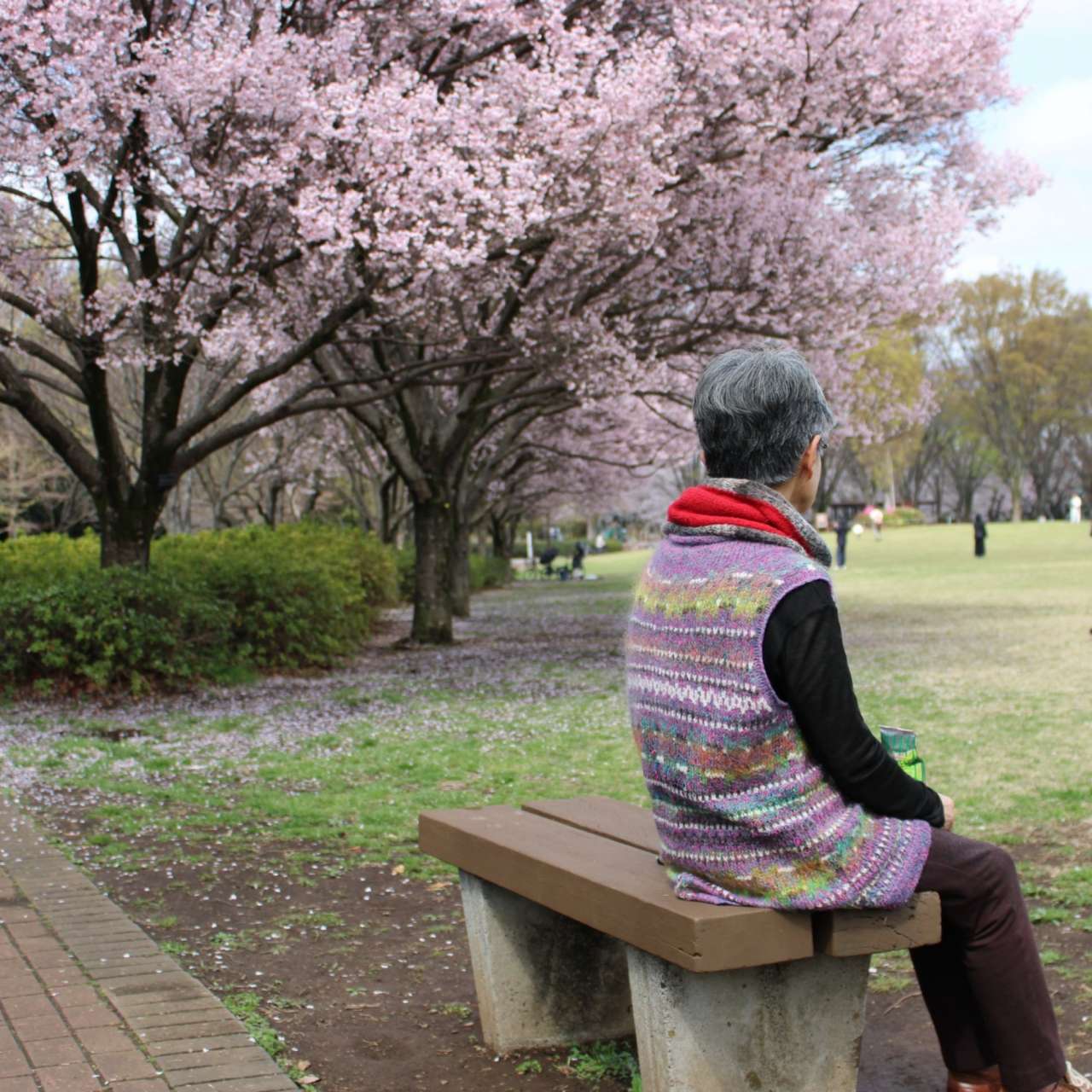 東村山中央公園260328ベンチ塗装終了HP