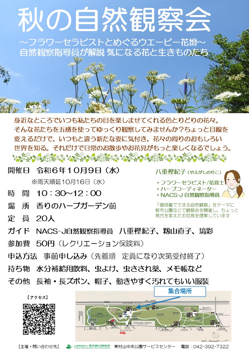訂正版R6.10.9自然観察会チラシ - コピー