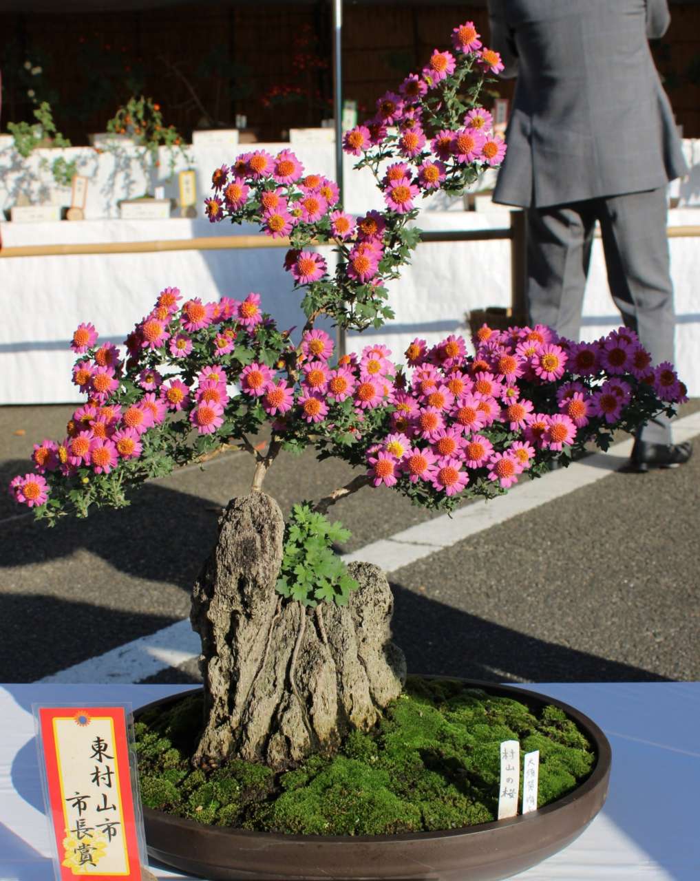 2東村山中央公園251115菊花展表彰式026