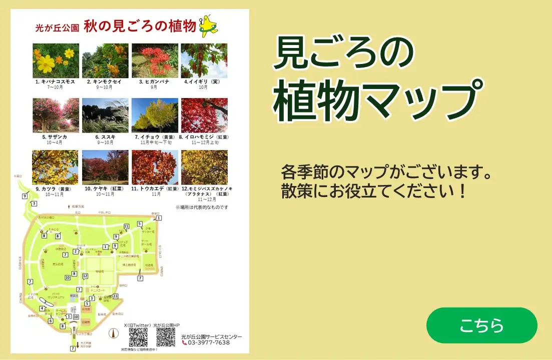 hikarigaoka_main_img_seasonmap