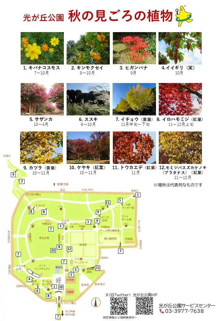 hikarigaoka_season_map_autumn