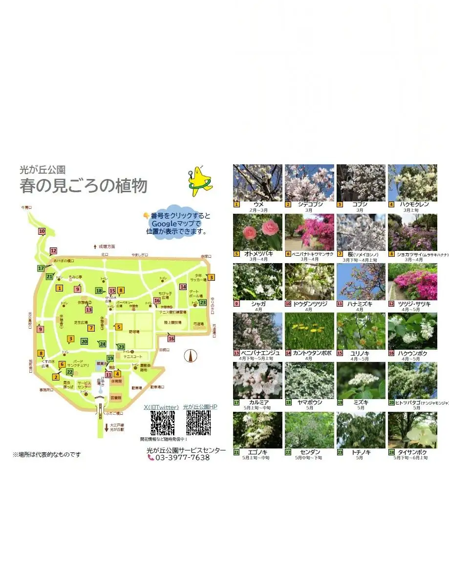 hikarigaoka_season_map_spring