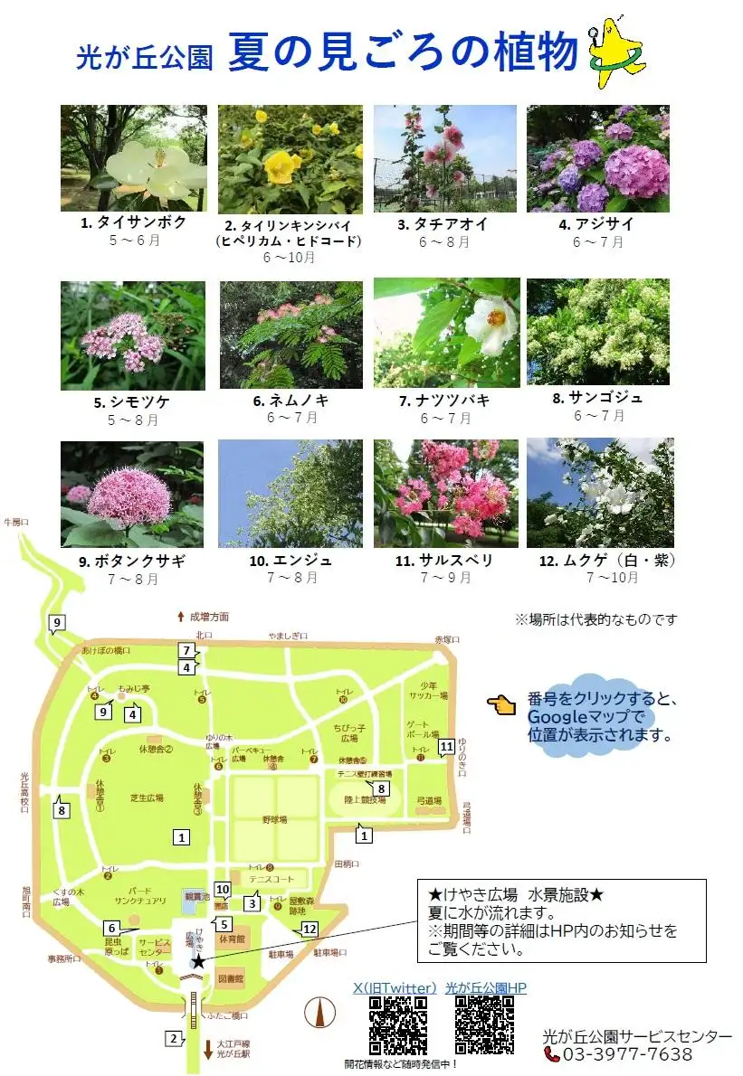 hikarigaoka_season_map_summer