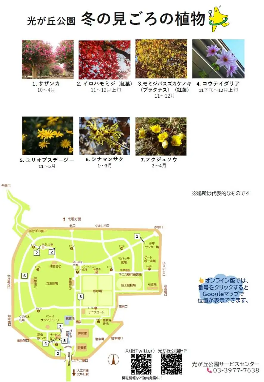hikarigaoka_season_map_winter