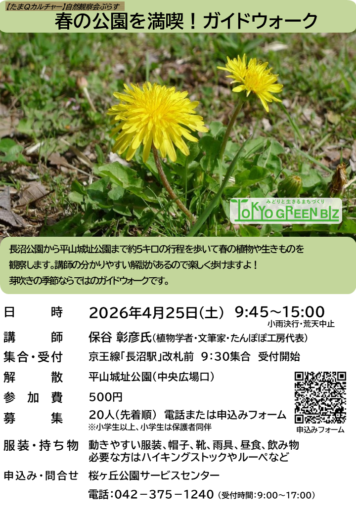 【校了】【260425】チラシ・ポスター春の公園を満喫！ガイドウォーク  長沼＋平山城址