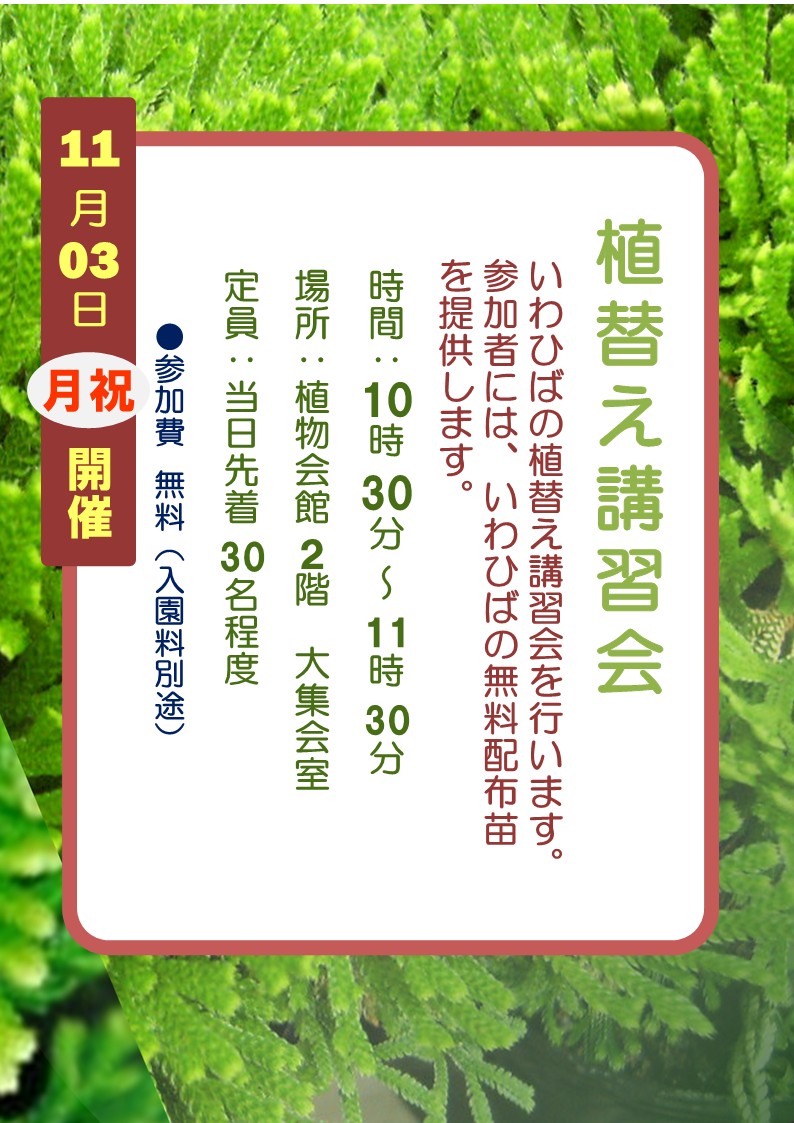 いわひば講習会