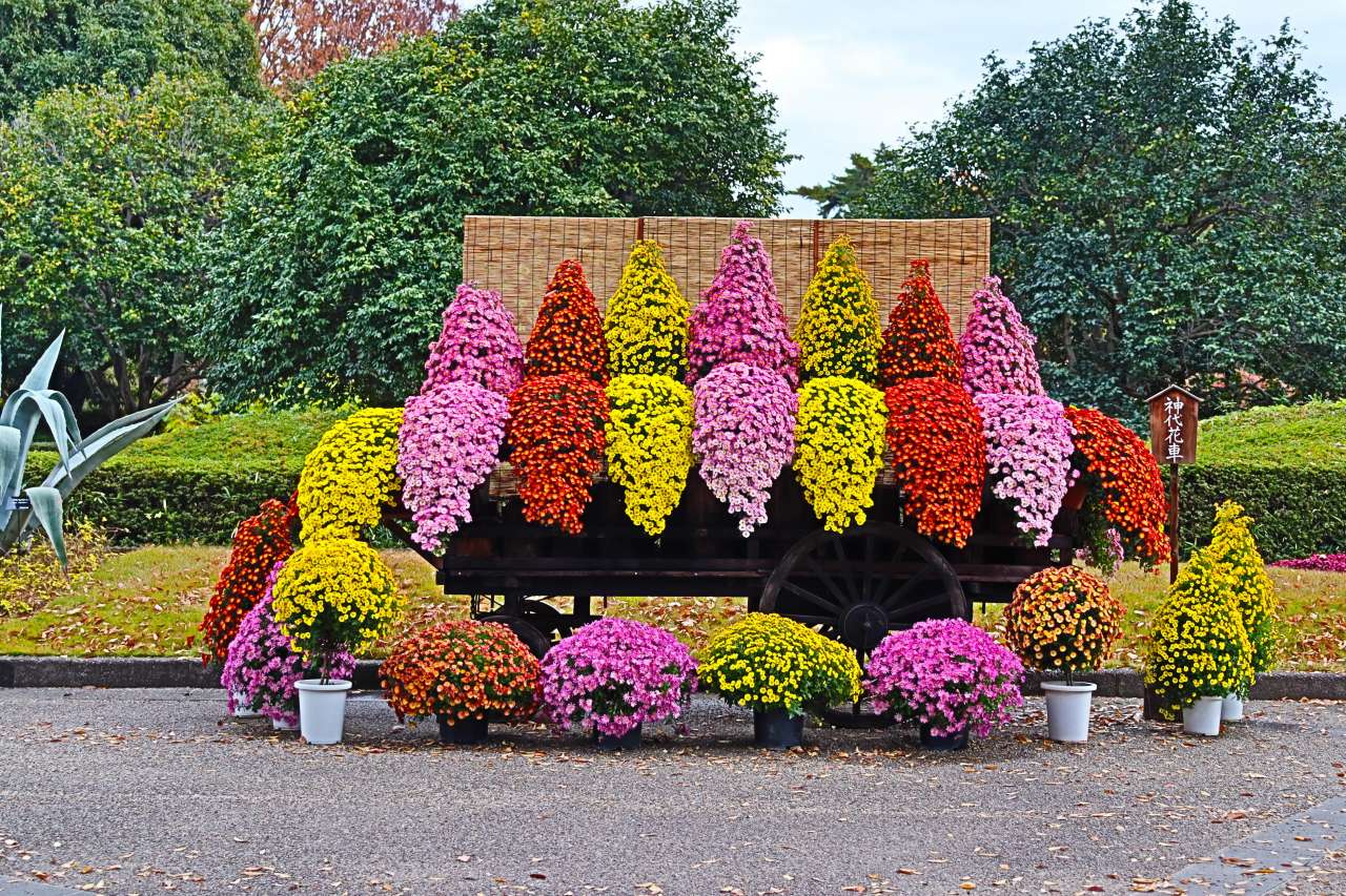 神代花車