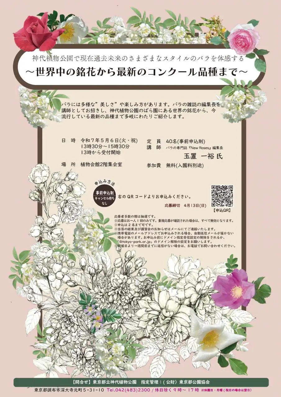 20250325-teisei-rose