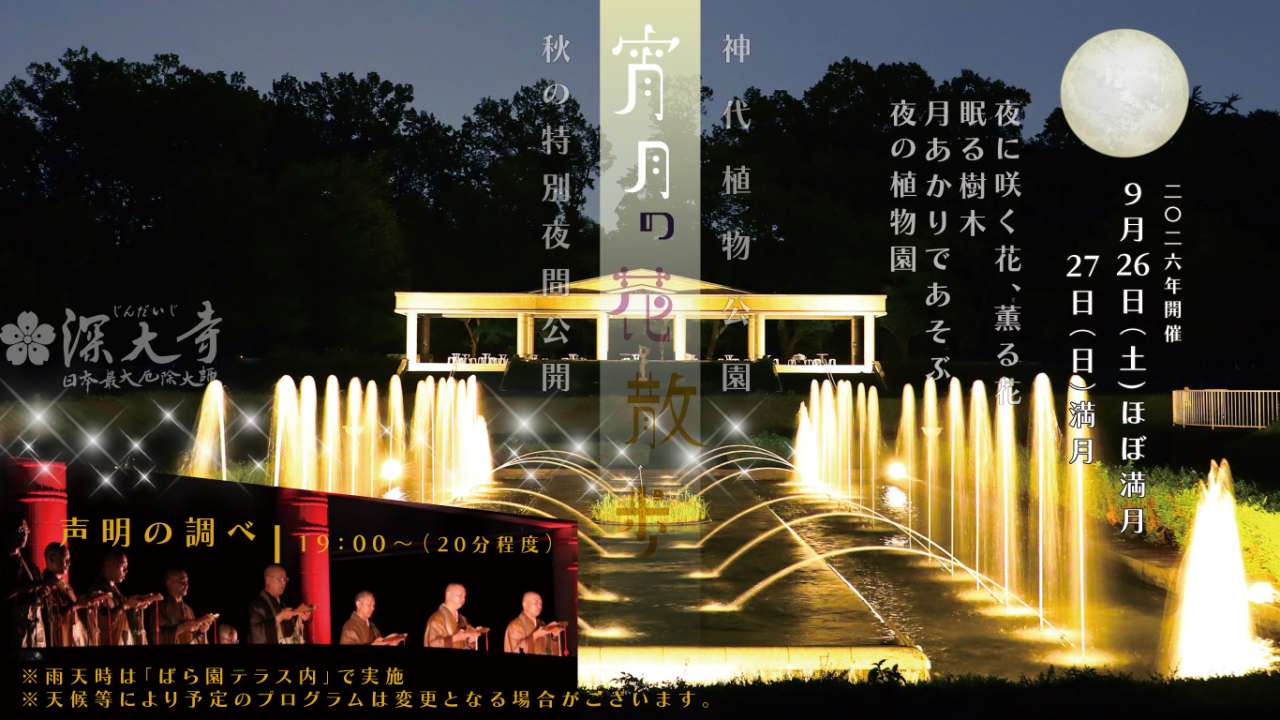 HP用_3_雨天時ばらテラス追加