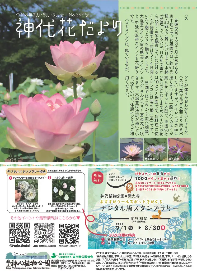 hanadayori789_omote