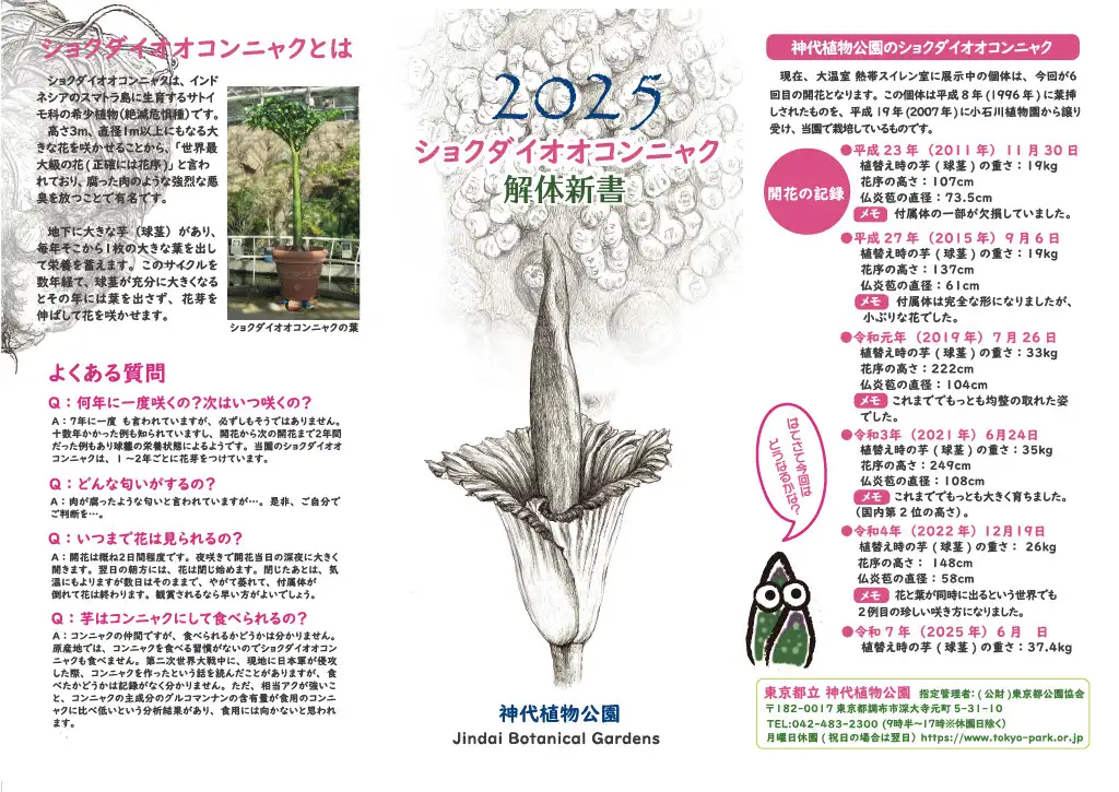 syokudaiookonnyaku1