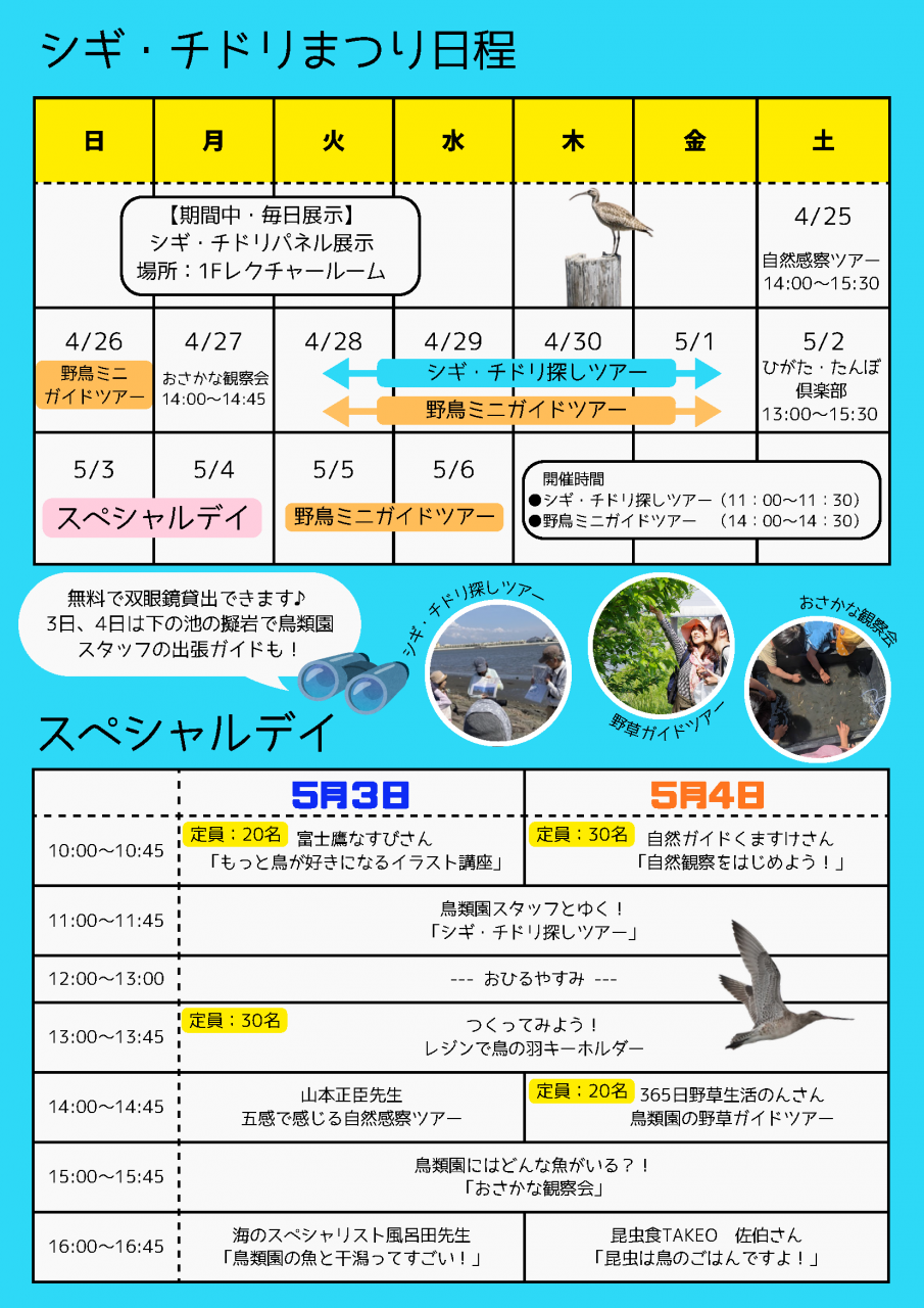 シギ・チドリまつりチラシ修正（4.26平川）_ページ_2