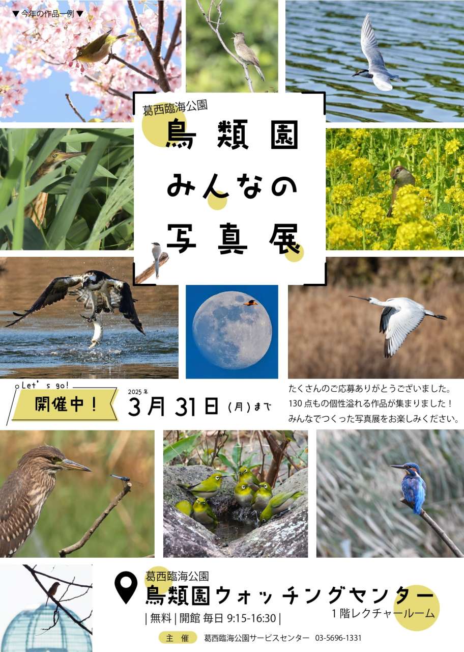 写真展ポスター開催中