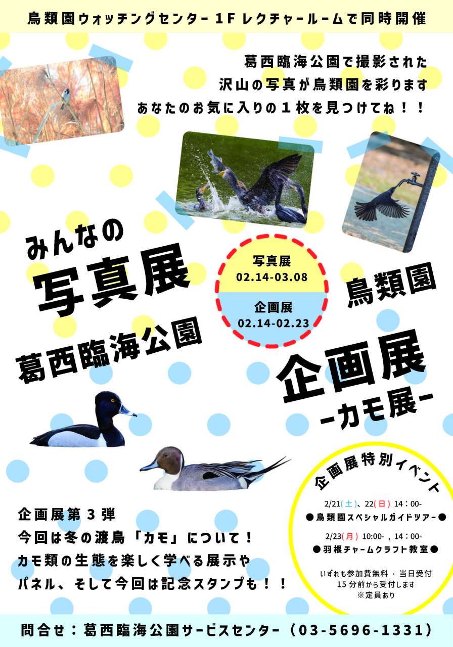 写真展・企画展（修正）