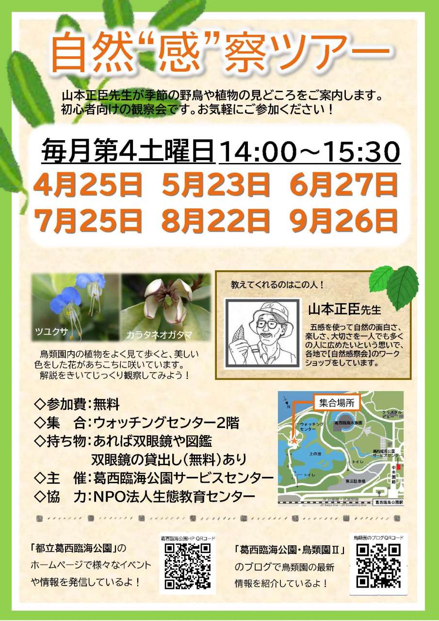 植物感察ツアーポスター　2026上半期 (002)