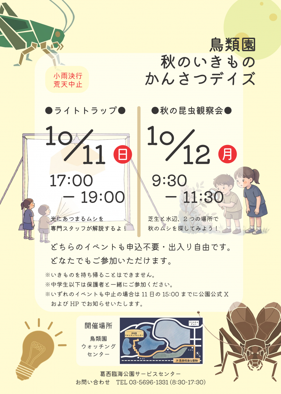 秋のいきものかんさつデイズ