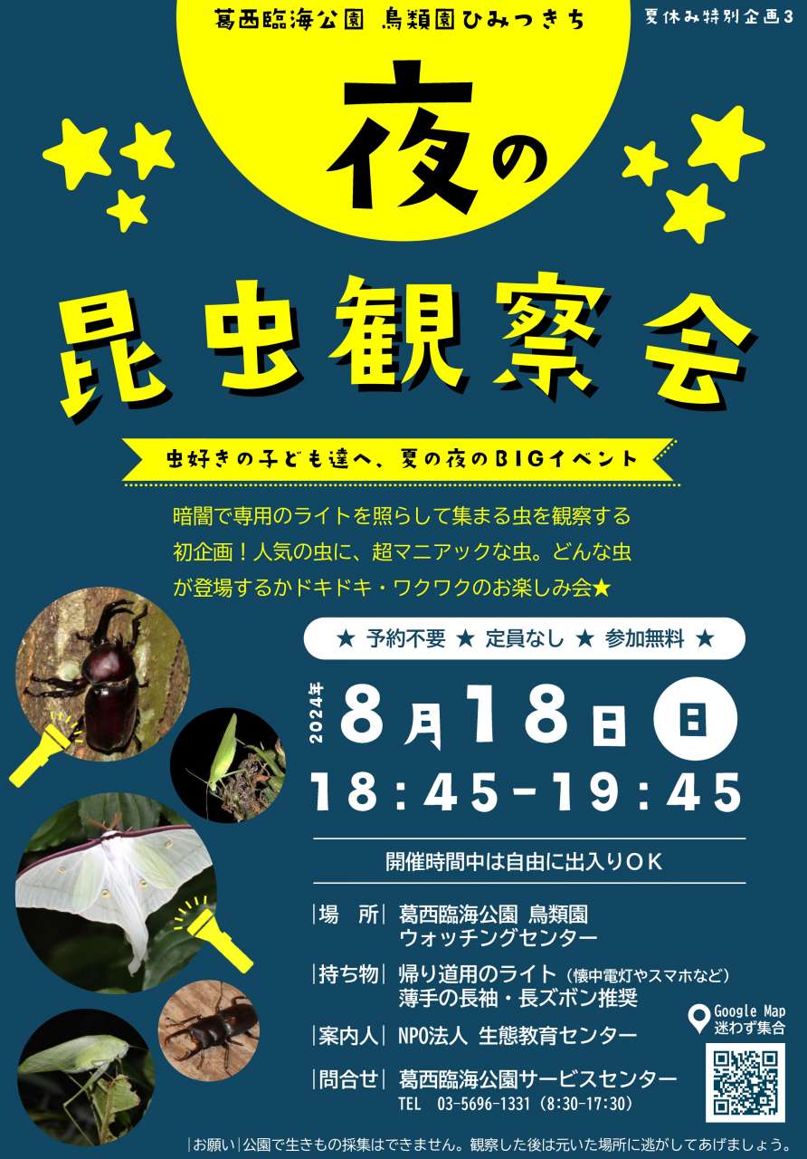 葛西臨海公園夜の昆虫観察会ポスター