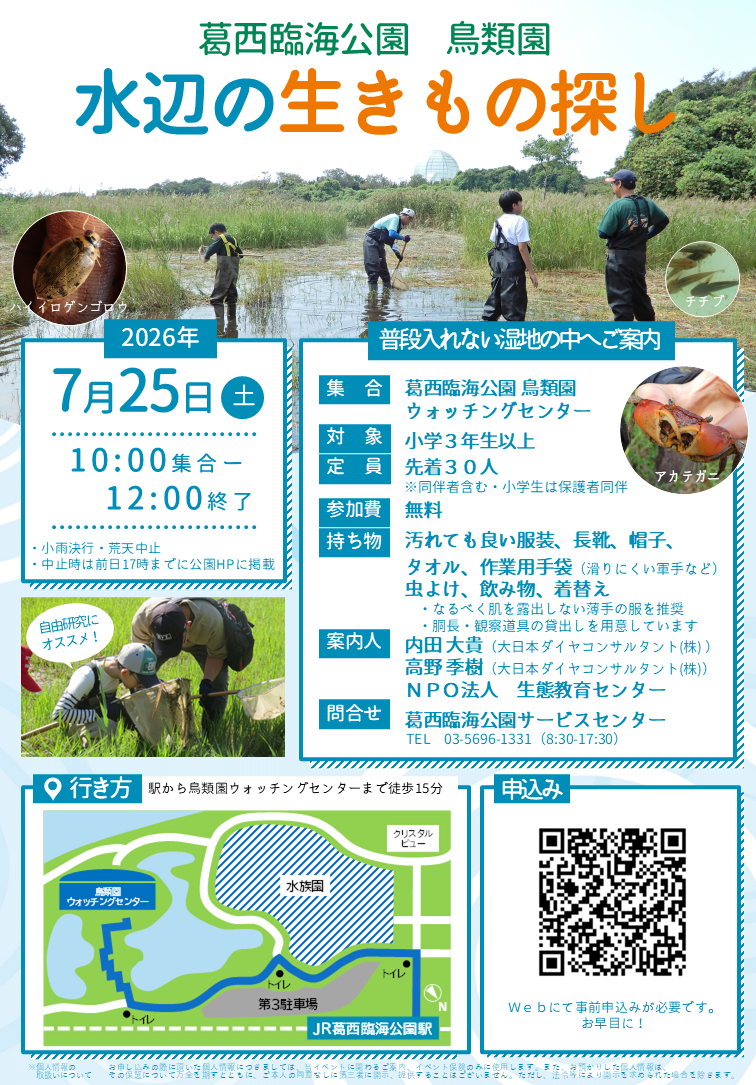 葛西臨海公園鳥類園水辺の生きもの探し