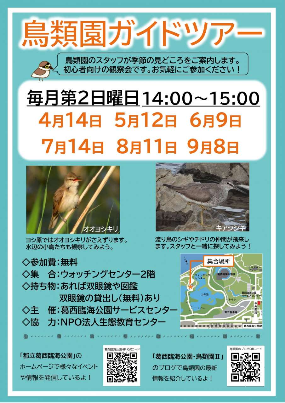 鳥類園ガイドツアー上半期ポスター2024