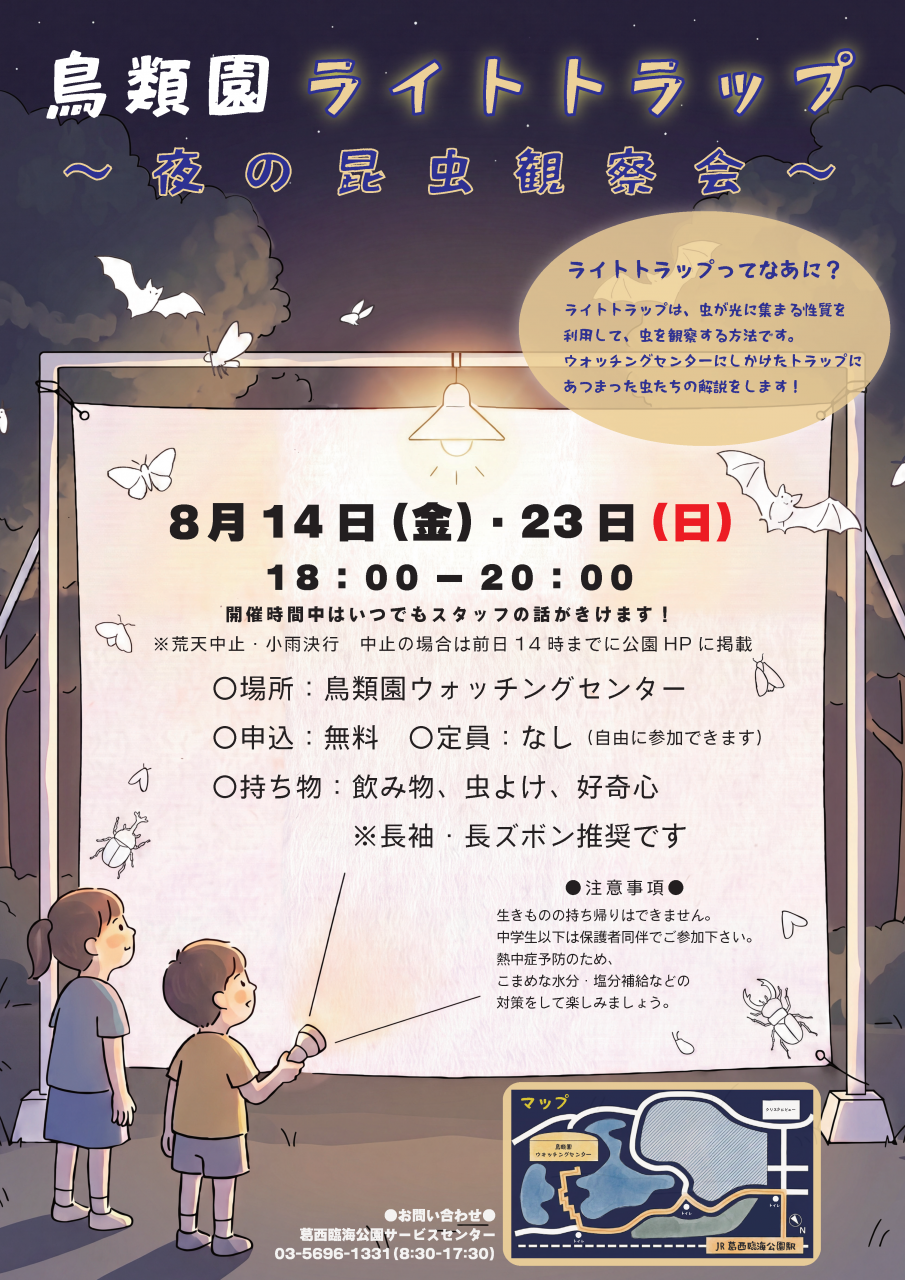 鳥類園ライトトラップ_0728