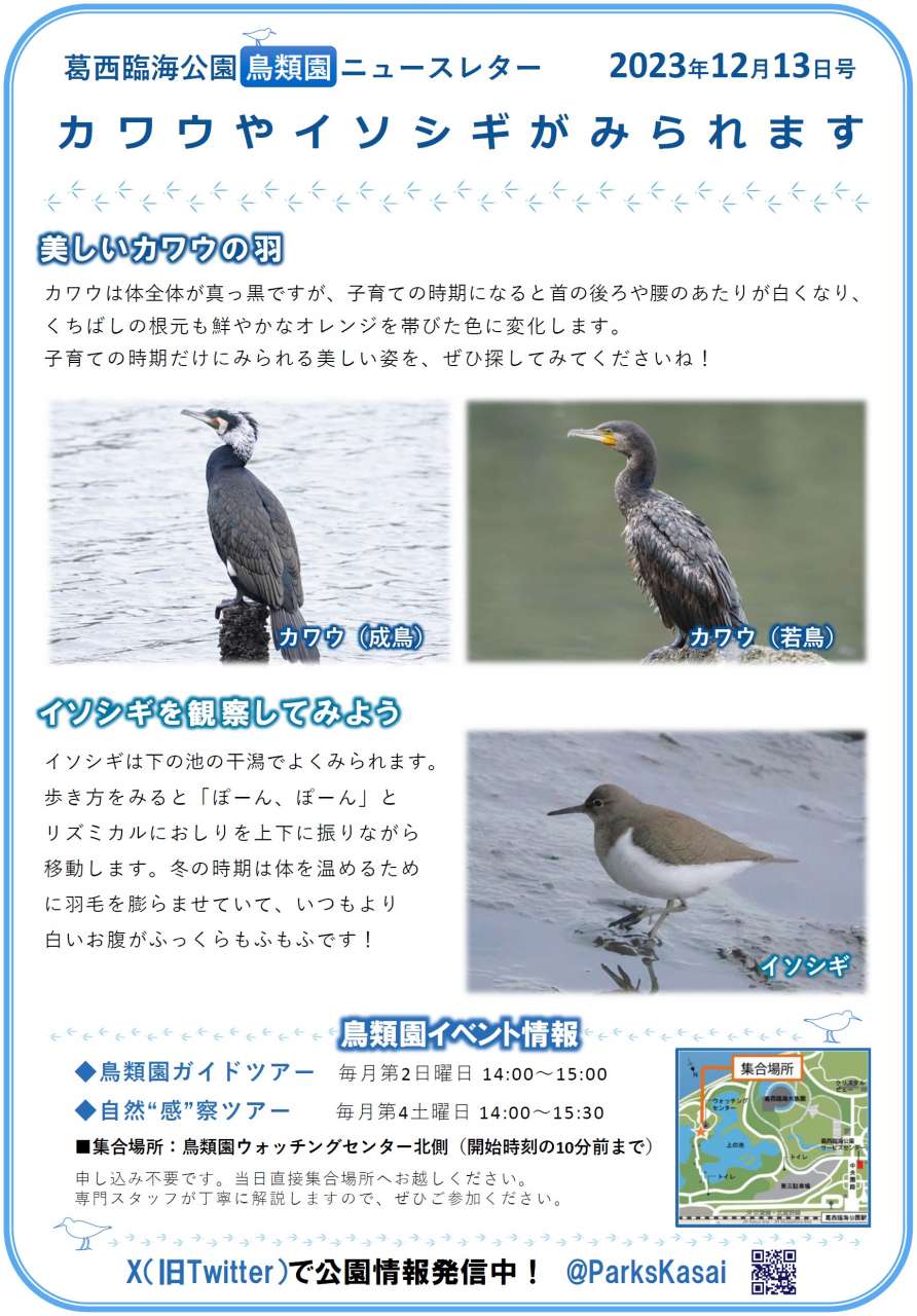 231213鳥類園ニュースレター