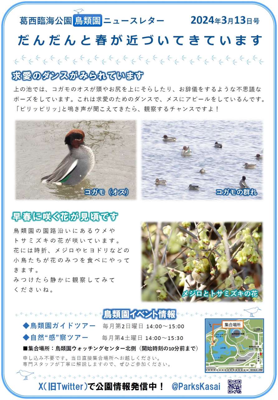 240313鳥類園ニュースレター